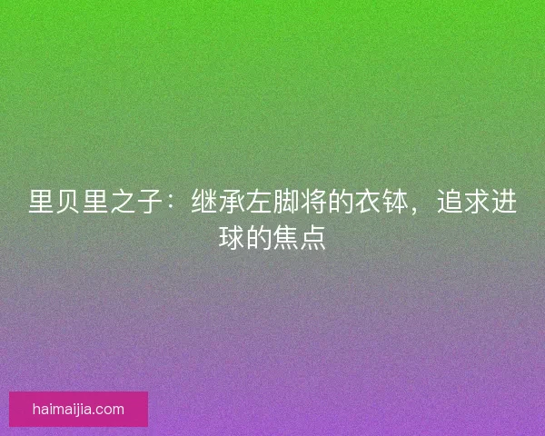 里贝里之子：继承左脚将的衣钵，追求进球的焦点