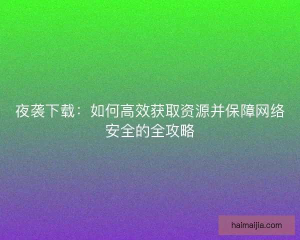 夜袭下载：如何高效获取资源并保障网络安全的全攻略