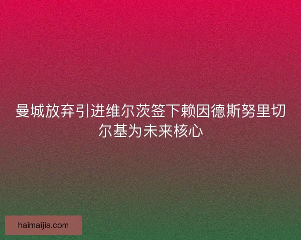 曼城放弃引进维尔茨签下赖因德斯努里切尔基为未来核心