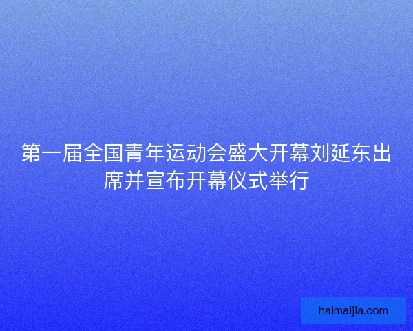 第一届全国青年运动会盛大开幕刘延东出席并宣布开幕仪式举行